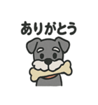 ほのぼのシュナウザーの日常スタンプ（個別スタンプ：21）