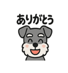 ほのぼのシュナウザーの日常スタンプ（個別スタンプ：23）