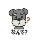ほのぼのシュナウザーの日常スタンプ（個別スタンプ：24）