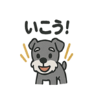 ほのぼのシュナウザーの日常スタンプ（個別スタンプ：26）