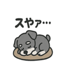 ほのぼのシュナウザーの日常スタンプ（個別スタンプ：27）