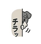 ほのぼのシュナウザーの日常スタンプ（個別スタンプ：30）