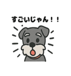 ほのぼのシュナウザーの日常スタンプ（個別スタンプ：32）