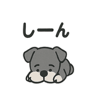 ほのぼのシュナウザーの日常スタンプ（個別スタンプ：35）