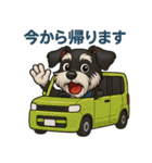 真夏のシュナウザー（個別スタンプ：6）
