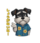 真夏のシュナウザー（個別スタンプ：10）