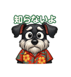 真夏のシュナウザー（個別スタンプ：24）