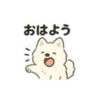 もちふわサモエドの日常（個別スタンプ：1）