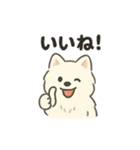 もちふわサモエドの日常（個別スタンプ：8）