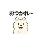 もちふわサモエドの日常（個別スタンプ：12）