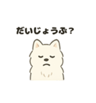 もちふわサモエドの日常（個別スタンプ：14）