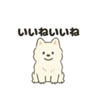 もちふわサモエドの日常（個別スタンプ：19）
