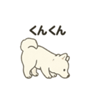 もちふわサモエドの日常（個別スタンプ：25）