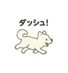 もちふわサモエドの日常（個別スタンプ：31）