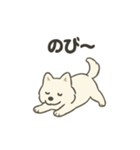 もちふわサモエドの日常（個別スタンプ：35）
