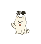 もちふわサモエドの日常（個別スタンプ：36）