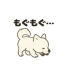 もちふわサモエドの日常（個別スタンプ：37）