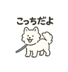 もちふわサモエドの日常（個別スタンプ：40）