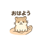 てのひらハムスター もちもち癒しスタンプ（個別スタンプ：1）