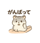 てのひらハムスター もちもち癒しスタンプ（個別スタンプ：3）