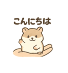 てのひらハムスター もちもち癒しスタンプ（個別スタンプ：12）