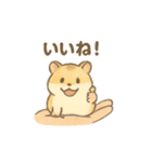 てのひらハムスター もちもち癒しスタンプ（個別スタンプ：14）