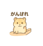 てのひらハムスター もちもち癒しスタンプ（個別スタンプ：16）