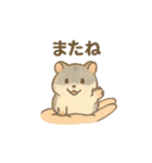 てのひらハムスター もちもち癒しスタンプ（個別スタンプ：19）