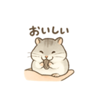 てのひらハムスター もちもち癒しスタンプ（個別スタンプ：21）