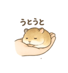 てのひらハムスター もちもち癒しスタンプ（個別スタンプ：22）