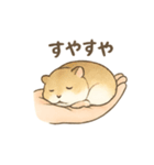 てのひらハムスター もちもち癒しスタンプ（個別スタンプ：24）