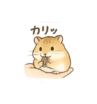 てのひらハムスター もちもち癒しスタンプ（個別スタンプ：25）