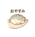 てのひらハムスター もちもち癒しスタンプ（個別スタンプ：27）