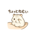 てのひらハムスター もちもち癒しスタンプ（個別スタンプ：29）