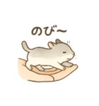 てのひらハムスター もちもち癒しスタンプ（個別スタンプ：30）