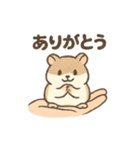 てのひらハムスター もちもち癒しスタンプ（個別スタンプ：34）