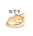てのひらハムスター もちもち癒しスタンプ（個別スタンプ：35）