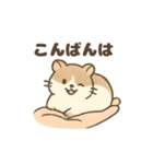 てのひらハムスター もちもち癒しスタンプ（個別スタンプ：36）