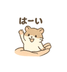 てのひらハムスター もちもち癒しスタンプ（個別スタンプ：37）