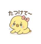ぴよたんの基本スタンプ（個別スタンプ：11）