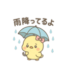 ぴよたんの基本スタンプ（個別スタンプ：14）