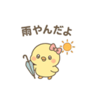 ぴよたんの基本スタンプ（個別スタンプ：15）
