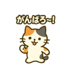 三毛猫のゆるっと季節スタンプ（個別スタンプ：8）