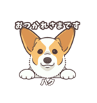 うちのイヌなど(コーギー)ver.ハク（個別スタンプ：1）