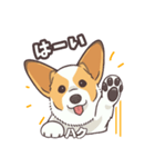 うちのイヌなど(コーギー)ver.ハク（個別スタンプ：10）