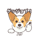 うちのイヌなど(コーギー)ver.ハク（個別スタンプ：12）