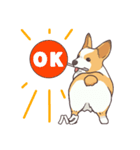 うちのイヌなど(コーギー)ver.ハク（個別スタンプ：15）