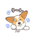 うちのイヌなど(コーギー)ver.ハク（個別スタンプ：18）