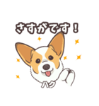 うちのイヌなど(コーギー)ver.ハク（個別スタンプ：19）