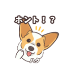 うちのイヌなど(コーギー)ver.ハク（個別スタンプ：20）